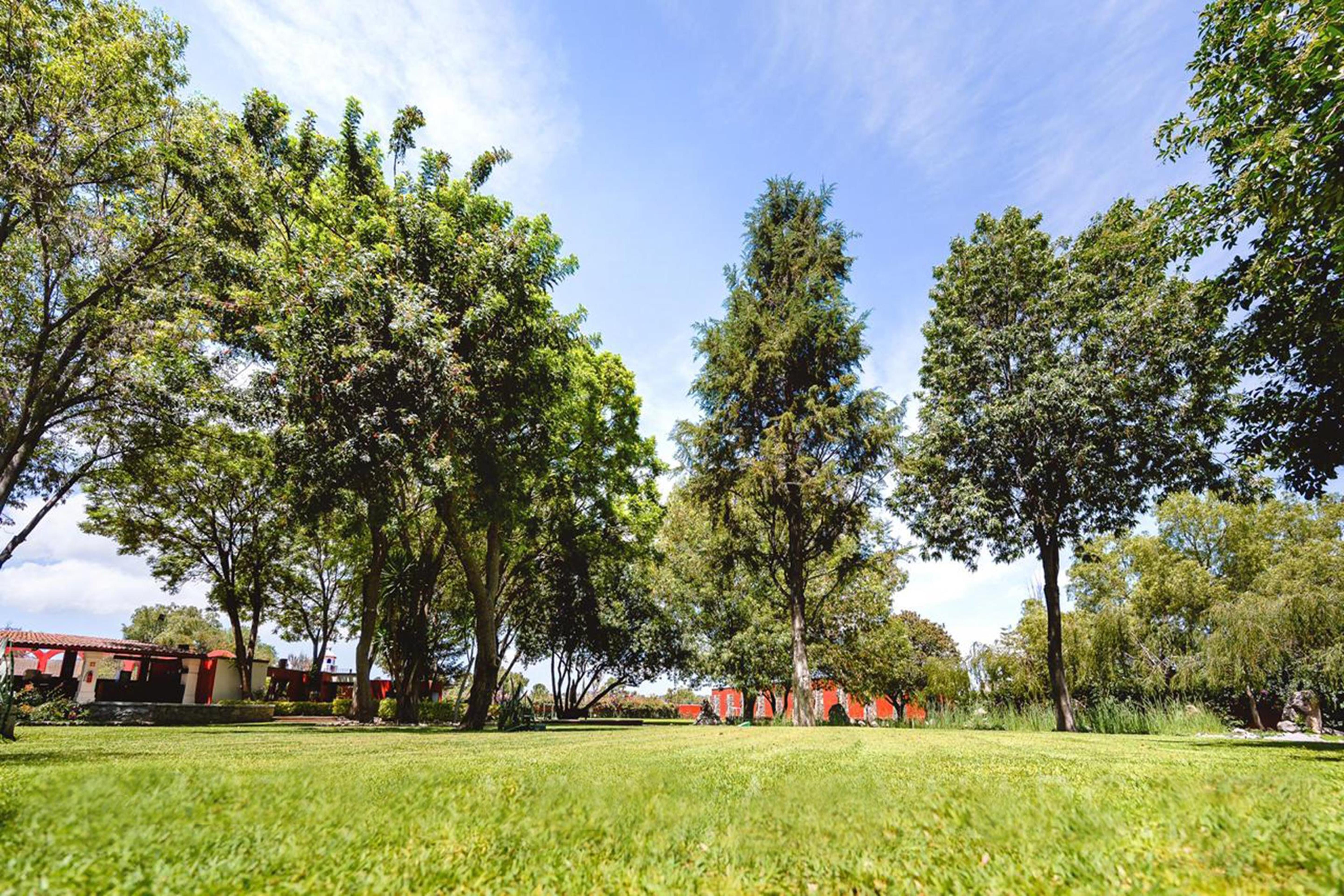 Real De Minas San Miguel De Allende Zewnętrze zdjęcie The park