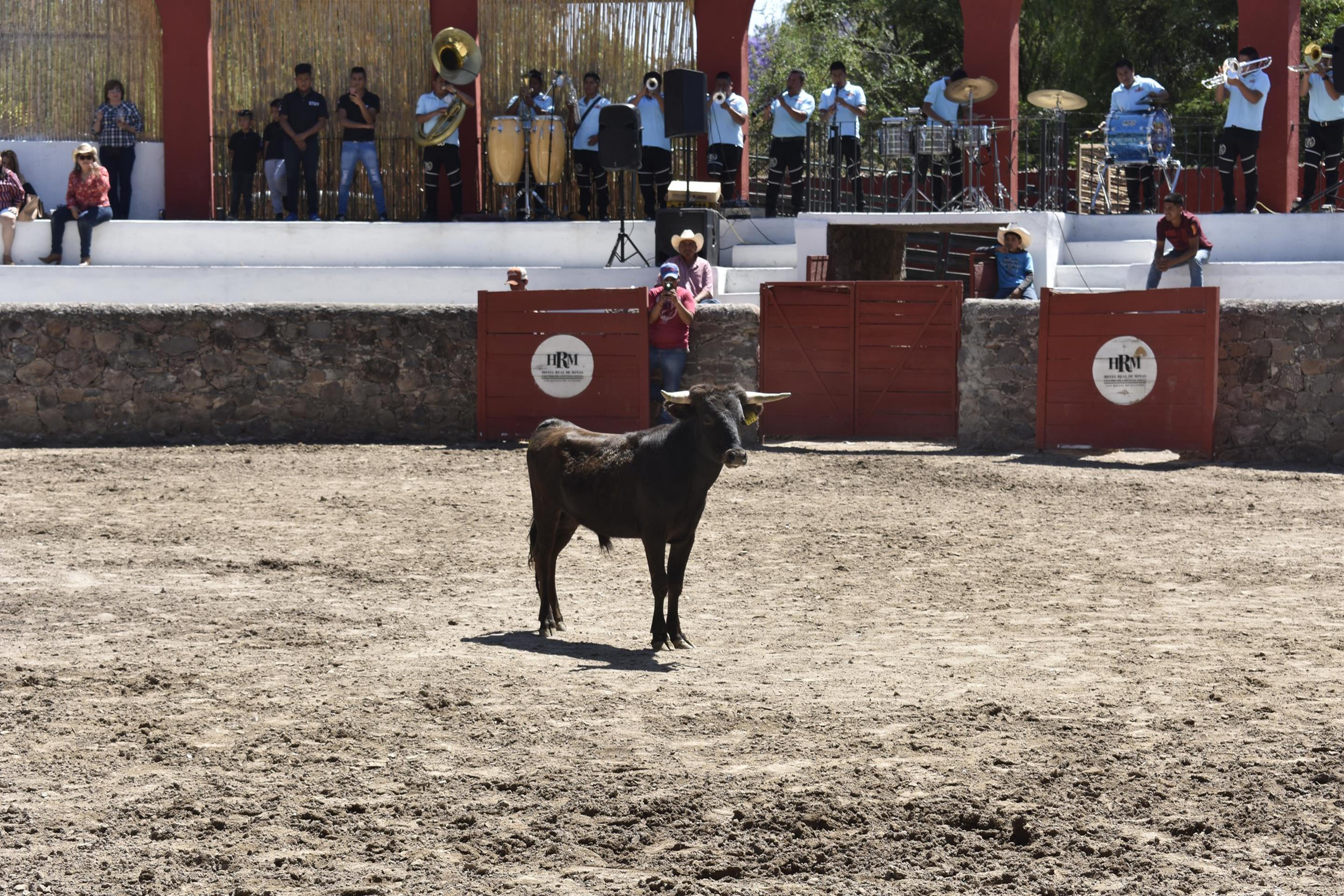 Real De Minas San Miguel De Allende Zewnętrze zdjęcie A bull in the bullring
